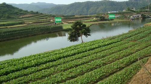 绿苑蔬菜基地|东莞市绿苑农副产品配送服务有限公司_企讯网